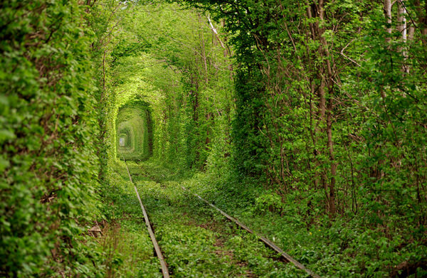 Tunnel-of-Love-in-Ukraine-1