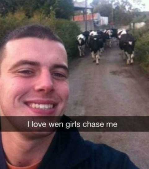 cowschasing_funny_snapchats