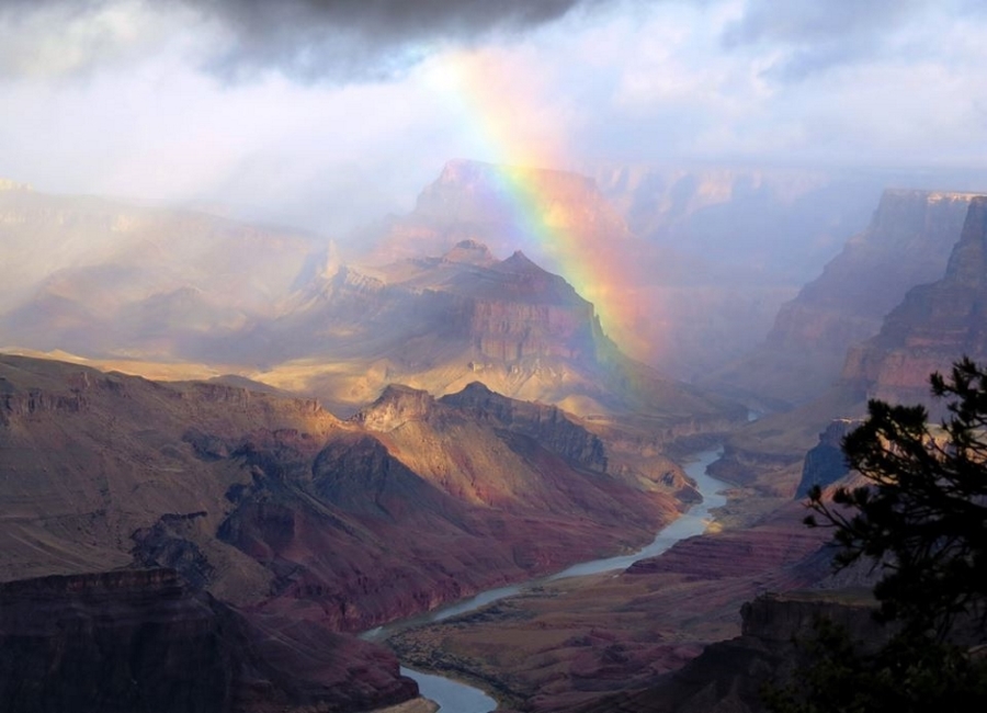 Source Facebook/Grand Canyon National Park 