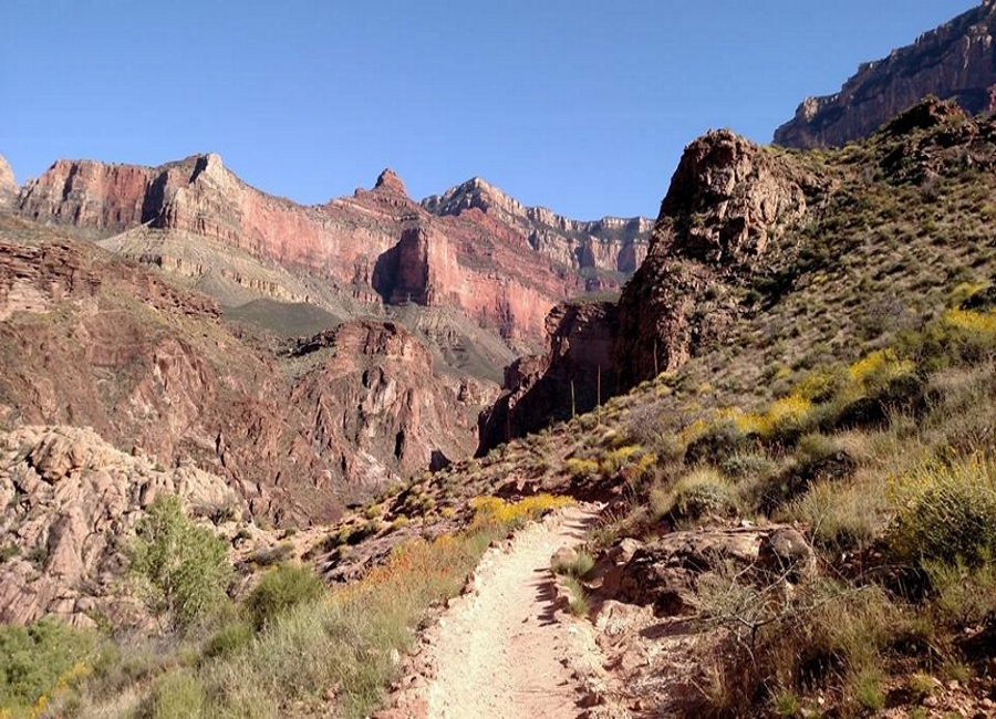 Source Facebook/Grand Canyon National Park 