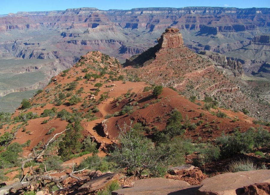 Source Facebook/Grand Canyon National Park 