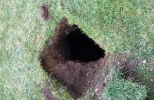 When A Hole In The Ground Opened Up In This Family’s Yard, They Realized There Were Stairs In It