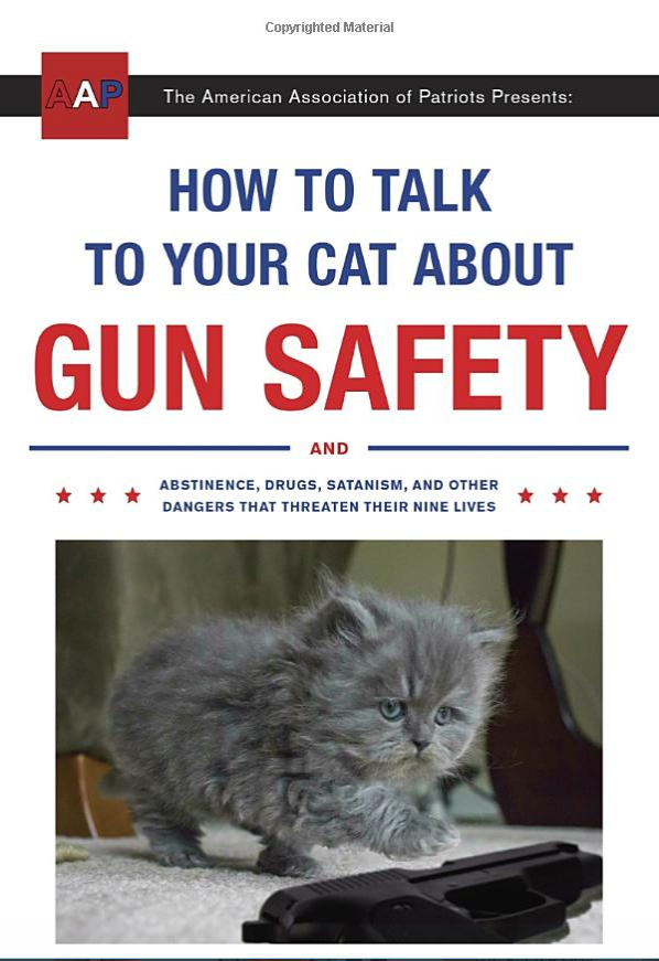 How to Talk to Your Cat About Gun Safety for Christmas stocking filler